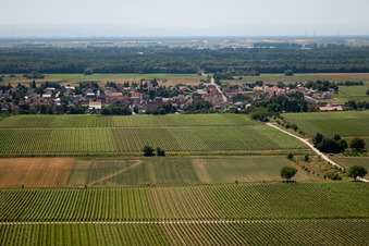Vue aérienne de Quartier Niederhochstadt in Hochstadt dans le département Rhénanie-Palatinat, Allemagne