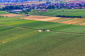Vue aérienne de Structure de la tour d'observation Houschder Winzerturm à le quartier Niederhochstadt in Hochstadt dans le département Rhénanie-Palatinat, Allemagne