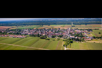 Vue aérienne de Perspective panoramique (Palatinat) à le quartier Niederhochstadt in Hochstadt dans le département Rhénanie-Palatinat, Allemagne