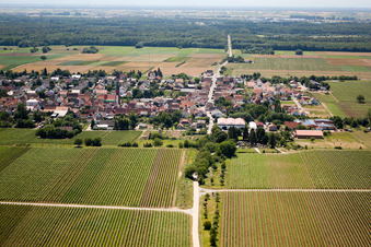 Photographie aérienne de Quartier Niederhochstadt in Hochstadt dans le département Rhénanie-Palatinat, Allemagne