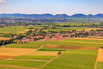 Vue aérienne de Vue du village depuis le nord-est à Essingen dans le département Rhénanie-Palatinat, Allemagne