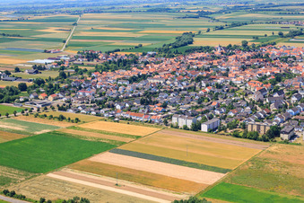 Vue oblique de Avenue Birch à Offenbach an der Queich dans le département Rhénanie-Palatinat, Allemagne