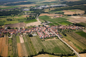 Vue oblique de Du nord à Erlenbach bei Kandel dans le département Rhénanie-Palatinat, Allemagne