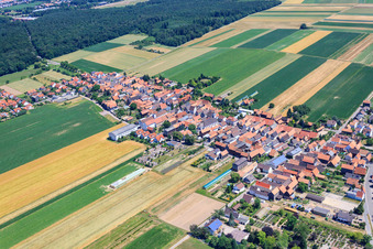 Vue aérienne de Vue du village depuis le sud-est à le quartier Hayna in Herxheim bei Landau dans le département Rhénanie-Palatinat, Allemagne