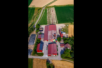 Vue oblique de Hansjörg Körkel & Cornelia Will-Körkel Kirschhof à le quartier Bodersweier in Kehl dans le département Bade-Wurtemberg, Allemagne