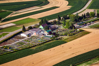 Garden Times Black à le quartier Bodersweier in Kehl dans le département Bade-Wurtemberg, Allemagne d'un drone