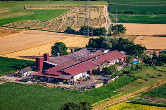 Hansjörg Körkel & Cornelia Will-Körkel Kirschhof à le quartier Bodersweier in Kehl dans le département Bade-Wurtemberg, Allemagne hors des airs