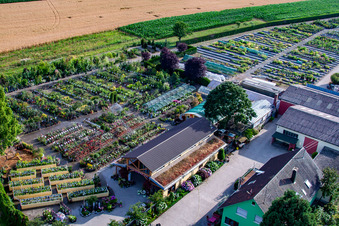 Garden Times Black à le quartier Bodersweier in Kehl dans le département Bade-Wurtemberg, Allemagne d'en haut