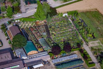 Garden Times Black à le quartier Bodersweier in Kehl dans le département Bade-Wurtemberg, Allemagne depuis l'avion