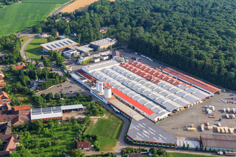 Maison Weber à le quartier Linx in Rheinau dans le département Bade-Wurtemberg, Allemagne depuis l'avion