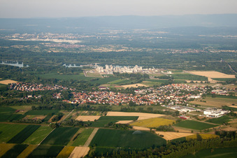 Vue aérienne de De l'ouest à Beinheim dans le département Bas Rhin, France