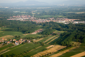 Vue aérienne de Du nord-ouest à Seltz dans le département Bas Rhin, France