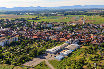 Vue aérienne de DBK dans les jardins Unterkandeler à Kandel dans le département Rhénanie-Palatinat, Allemagne