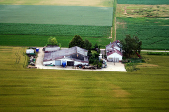 Vue aérienne de Domaine viticole et vin mousseux Rosenhof à Steinweiler dans le département Rhénanie-Palatinat, Allemagne