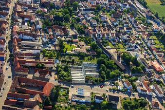 Photographie aérienne de Serres sur Lindenstr à Rülzheim dans le département Rhénanie-Palatinat, Allemagne
