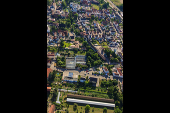 Vue aérienne de Serres sur Neue Landstr à Rülzheim dans le département Rhénanie-Palatinat, Allemagne