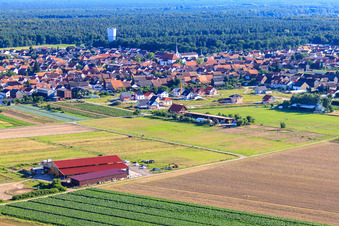 Vue aérienne de Pension pour chevaux Seehof à Hatzenbühl dans le département Rhénanie-Palatinat, Allemagne