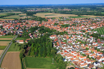 Vue aérienne de Dans la forêt à Hatzenbühl dans le département Rhénanie-Palatinat, Allemagne