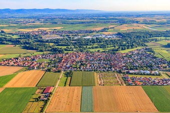 Vue aérienne de Vue de la ville depuis le sud à Steinweiler dans le département Rhénanie-Palatinat, Allemagne