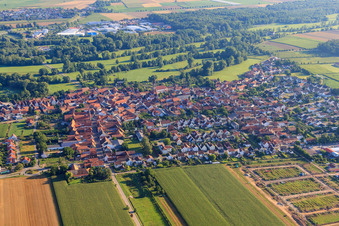 Vue aérienne de Kreuzgasse depuis le sud à Steinweiler dans le département Rhénanie-Palatinat, Allemagne
