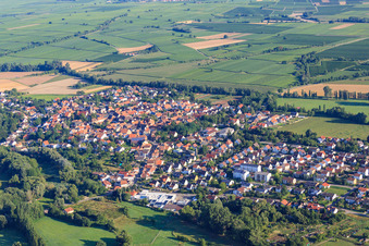 Vue aérienne de Vue de la ville depuis le sud à le quartier Billigheim in Billigheim-Ingenheim dans le département Rhénanie-Palatinat, Allemagne