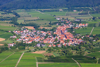 Vue aérienne de Vue du village depuis l'est à Göcklingen dans le département Rhénanie-Palatinat, Allemagne