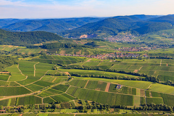 Vue aérienne de Villages viticoles du sud à Ranschbach dans le département Rhénanie-Palatinat, Allemagne