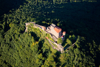 Image drone de Château de Trifels à Annweiler am Trifels dans le département Rhénanie-Palatinat, Allemagne