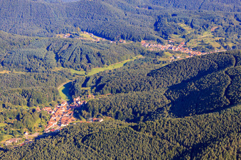 Vue aérienne de Village de la forêt du Palatinat vu du sud-est à Darstein dans le département Rhénanie-Palatinat, Allemagne