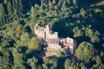 Photographie aérienne de Château de Berwartstein à Erlenbach bei Dahn dans le département Rhénanie-Palatinat, Allemagne