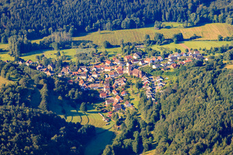 Vue aérienne de Village de la forêt du Palatinat vu du nord à Niederschlettenbach dans le département Rhénanie-Palatinat, Allemagne
