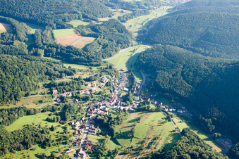 Vue aérienne de Erlenbach du sud à Erlenbach bei Dahn dans le département Rhénanie-Palatinat, Allemagne