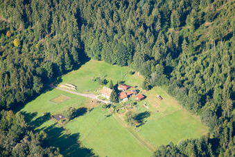Vue aérienne de Litschhof à Wingen dans le département Bas Rhin, France