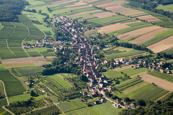 Photographie aérienne de Vue sur le village à Cleebourg dans le département Bas Rhin, France