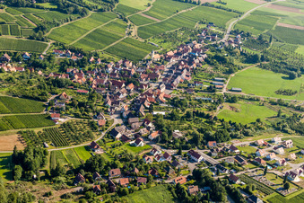 Vue oblique de Champs agricoles et terres agricoles à Rott dans le département Bas Rhin, France