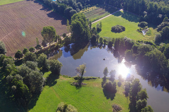 Vue aérienne de Lac de loisirs Schwanenweiher à Steinfeld dans le département Rhénanie-Palatinat, Allemagne