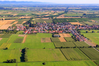 Vue aérienne de Panorama du village derrière le Viehstrich depuis le sud à Freckenfeld dans le département Rhénanie-Palatinat, Allemagne