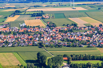 Vue aérienne de Panorama du village derrière le Viehstrich depuis le sud à Minfeld dans le département Rhénanie-Palatinat, Allemagne
