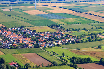 Photographie aérienne de Panorama du village derrière le Viehstrich depuis le sud à Minfeld dans le département Rhénanie-Palatinat, Allemagne