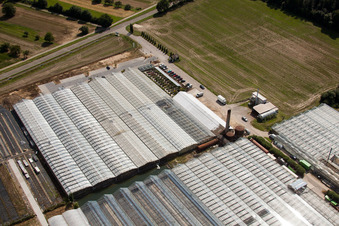 Vue oblique de Horticulture Reiss à Malsch dans le département Bade-Wurtemberg, Allemagne