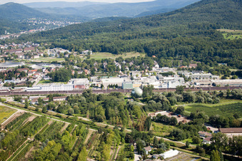 Vue aérienne de Baden-Oos, remèdes biologiques Heel à le quartier Oos in Baden-Baden dans le département Bade-Wurtemberg, Allemagne
