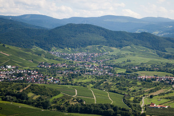 Vue aérienne de Varnhalt, Neuweier à le quartier Steinbach in Baden-Baden dans le département Bade-Wurtemberg, Allemagne