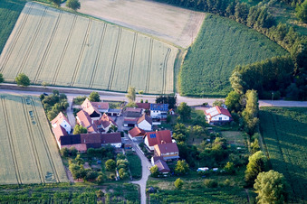 Vue aérienne de Welschhof à Freckenfeld dans le département Rhénanie-Palatinat, Allemagne