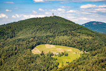 Vue aérienne de Domaine du monastère à Sinzheim dans le département Bade-Wurtemberg, Allemagne