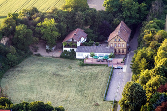 Vue aérienne de Réserve de chasse sur Lindenstr à Freckenfeld dans le département Rhénanie-Palatinat, Allemagne