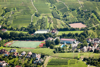 Vue aérienne de École de sport de Bade-Sud, FC Neuweier à le quartier Steinbach in Baden-Baden dans le département Bade-Wurtemberg, Allemagne