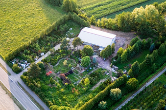 Vue aérienne de Freckenfeld, crèche à le quartier Schaidt in Wörth am Rhein dans le département Rhénanie-Palatinat, Allemagne