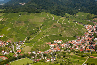 Vue aérienne de Vignoble à le quartier Neuweier in Baden-Baden dans le département Bade-Wurtemberg, Allemagne