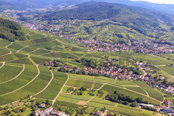 Vue aérienne de Villages viticoles dans les vignes à le quartier Eisental in Bühl dans le département Bade-Wurtemberg, Allemagne