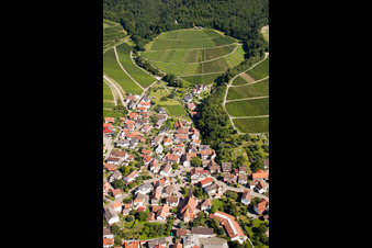 Vue aérienne de Vignobles et zones forestières à le quartier Eisental in Bühl dans le département Bade-Wurtemberg, Allemagne